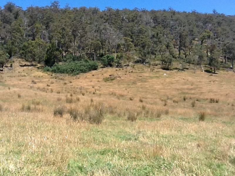 151 Crawlers Gully Road, Nugent TAS 7172