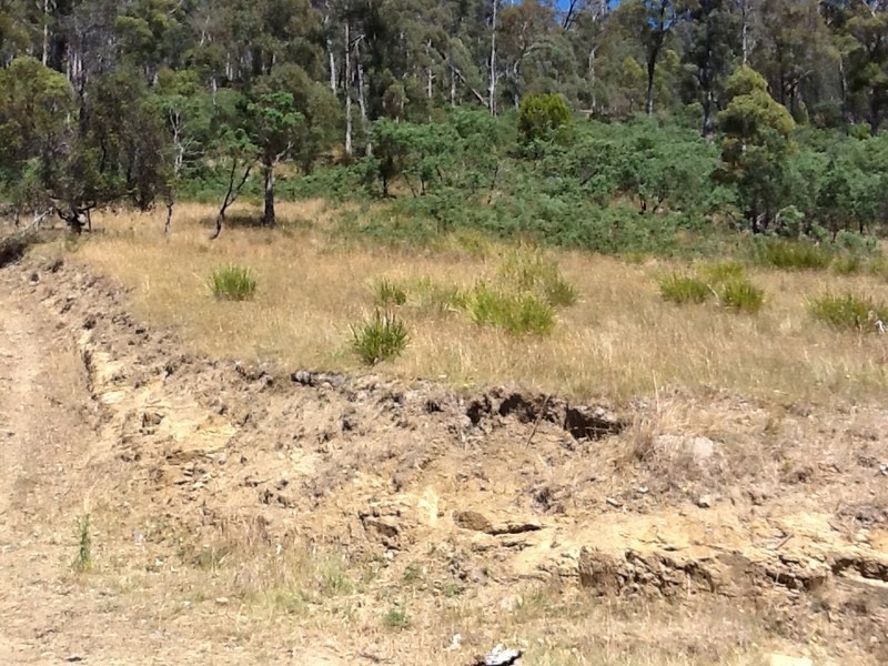 151 Crawlers Gully Road, Nugent TAS 7172