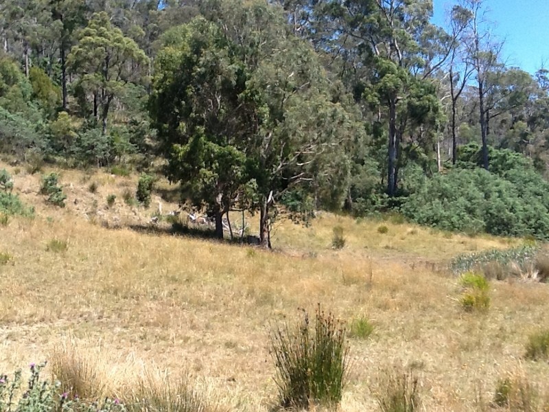 151 Crawlers Gully Road, Nugent TAS 7172