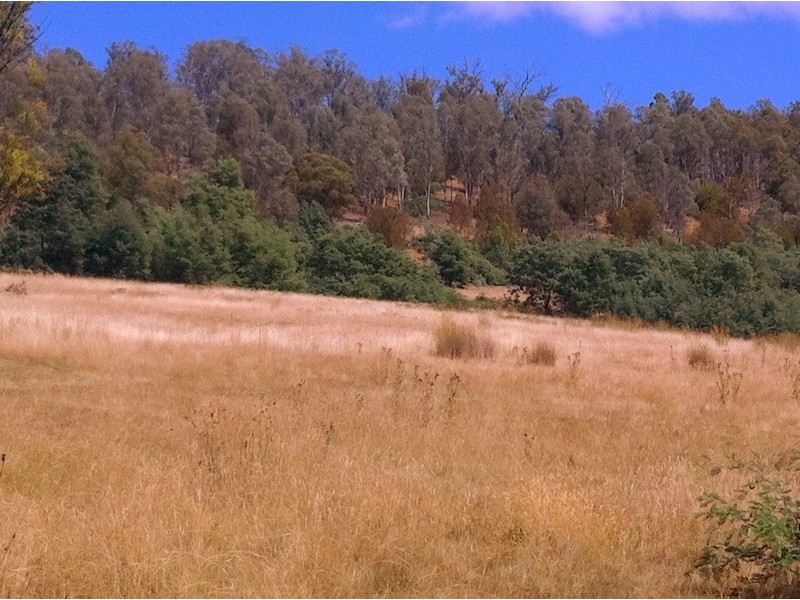 Lot 1 Thallans Road, Colebrook TAS 7027