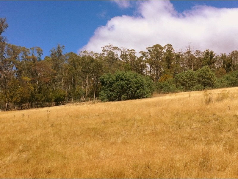 Lot 1 Thallans Road, Colebrook TAS 7027