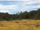 258 Bezzants Road, Nugent TAS 7172