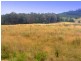258 Bezzants Road, Nugent TAS 7172