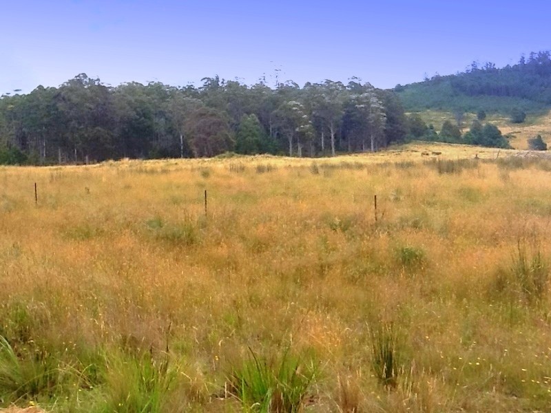 258 Bezzants Road, Nugent TAS 7172