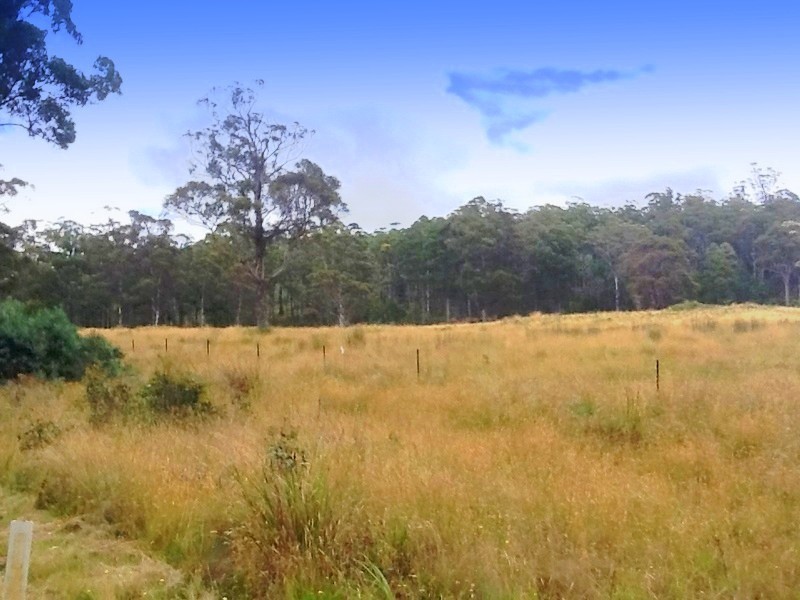 258 Bezzants Road, Nugent TAS 7172
