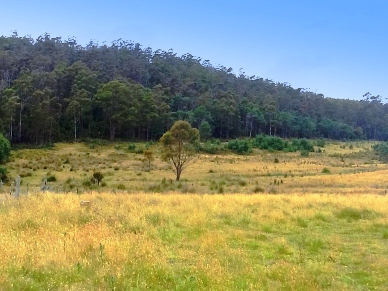 258 Bezzants Road, Nugent TAS 7172