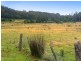 258 Bezzants Road, Nugent TAS 7172