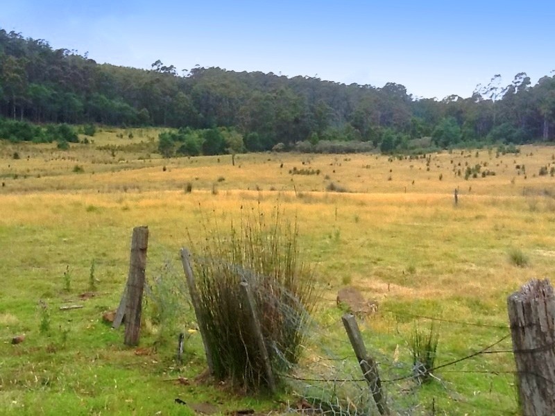 258 Bezzants Road, Nugent TAS 7172
