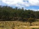 258 Bezzants Road, Nugent TAS 7172