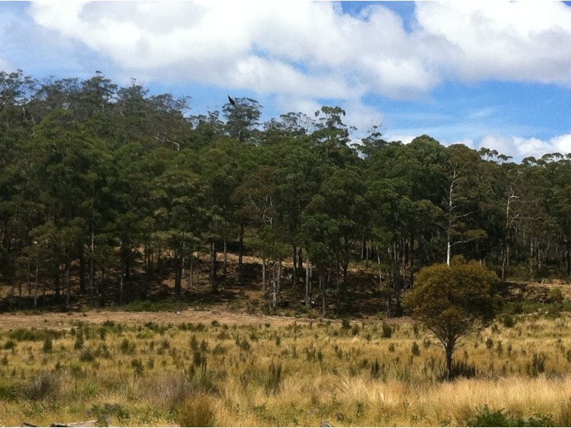258 Bezzants Road, Nugent TAS 7172