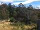 258 Bezzants Road, Nugent TAS 7172
