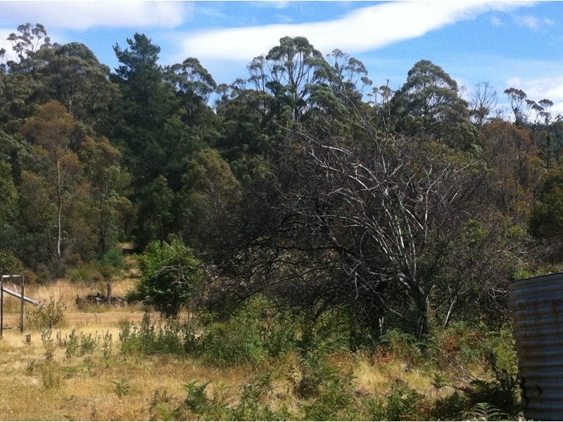 258 Bezzants Road, Nugent TAS 7172