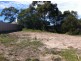 28 Abate Place, Midway Point TAS 7171