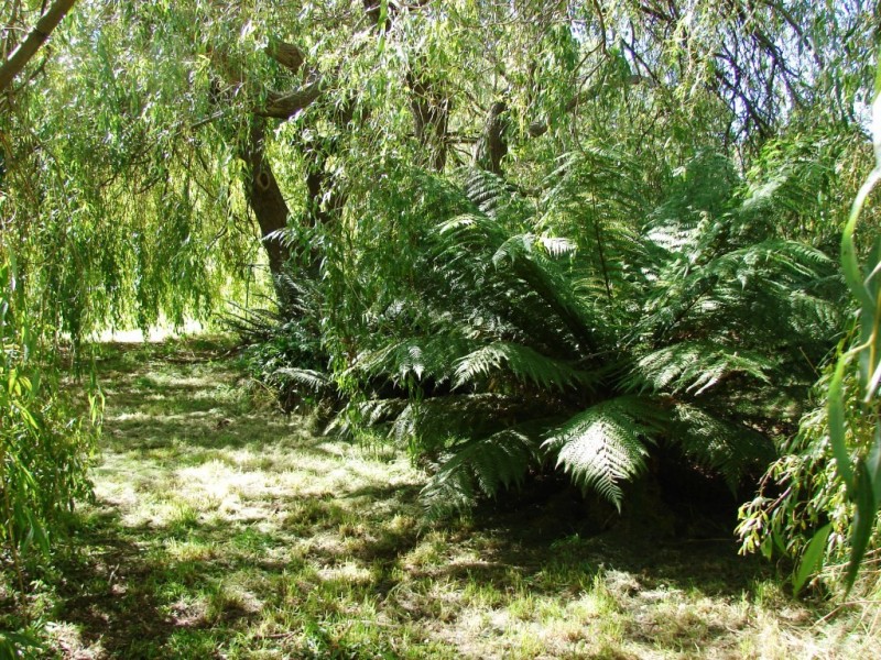 4086 Arthur Highway, Murdunna TAS 7178