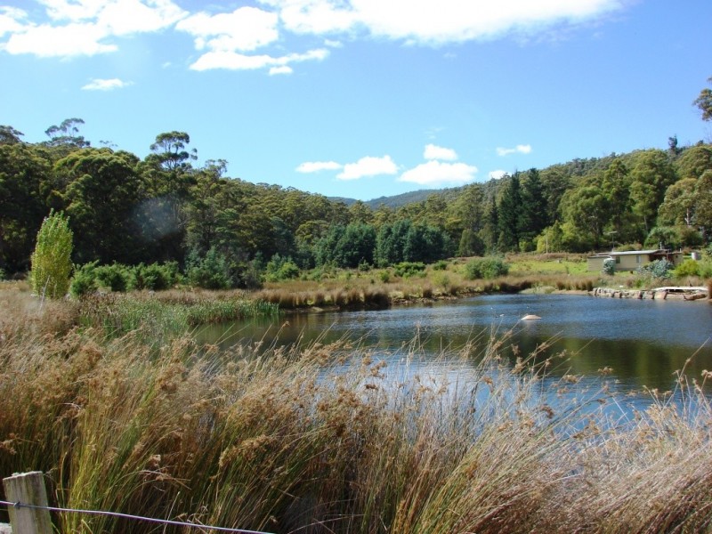 6555 Arthur Highway, Port Arthur TAS 7182