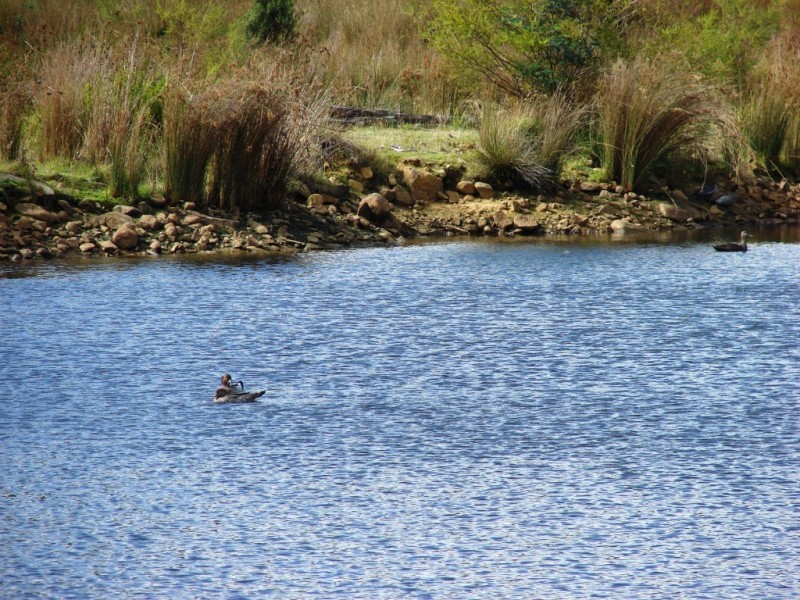 6555 Arthur Highway, Port Arthur TAS 7182