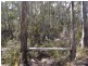221 Old Jetty Road, Eaglehawk Neck TAS 7179