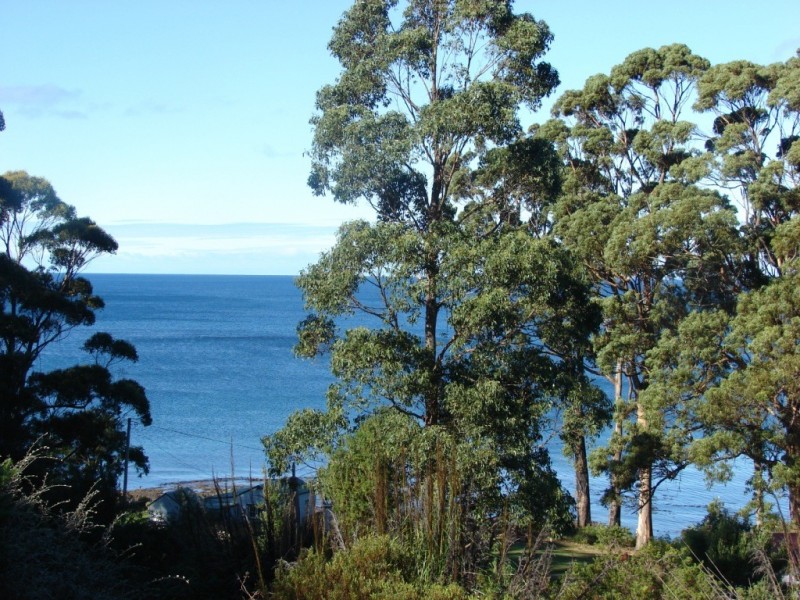333 Pirates Bay Drive, Eaglehawk Neck TAS 7179