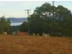 1 Perry Court, Lewisham TAS 7173