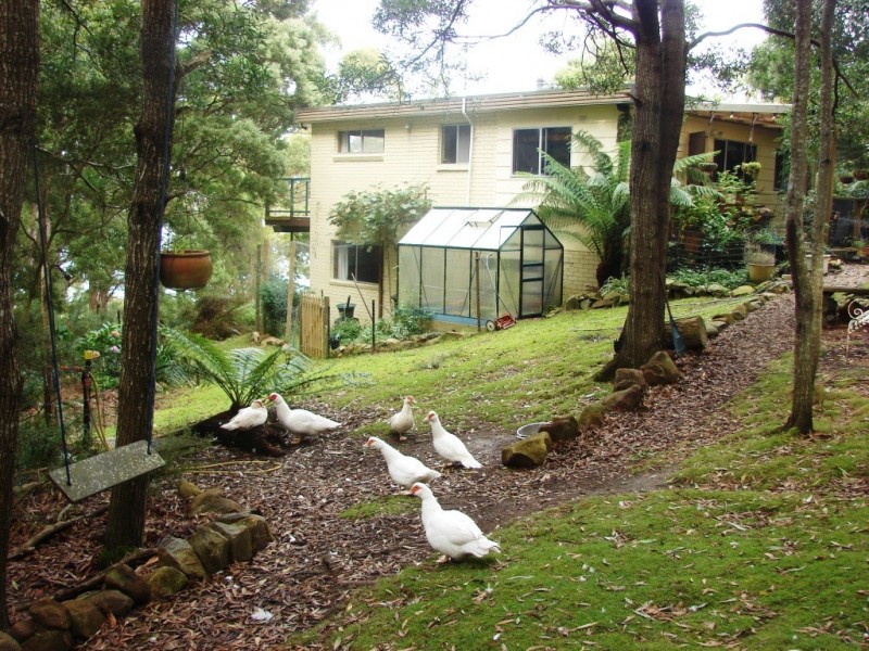 331 Pirates Bay Drive, Eaglehawk Neck TAS 7179