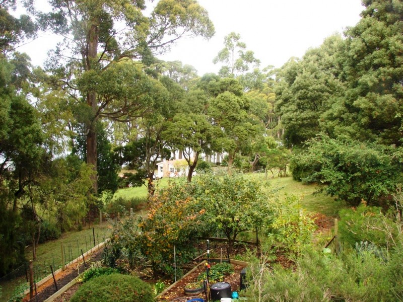 331 Pirates Bay Drive, Eaglehawk Neck TAS 7179