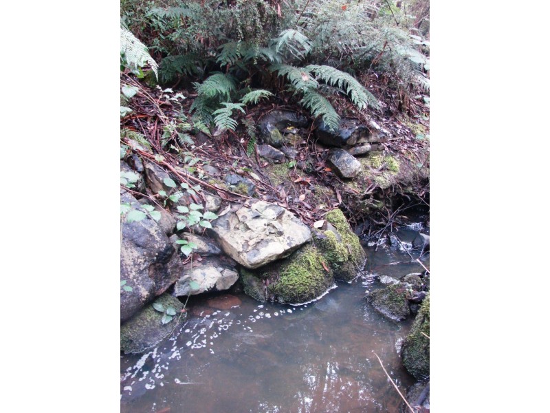 331 Pirates Bay Drive, Eaglehawk Neck TAS 7179