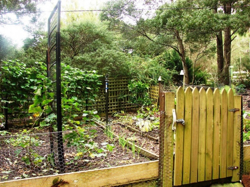 331 Pirates Bay Drive, Eaglehawk Neck TAS 7179