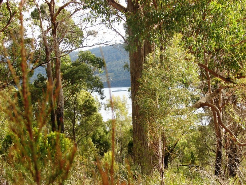 21 Mundy Court, Nubeena TAS 7184