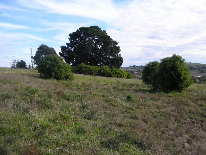 4 Wards Avenue, Lewisham TAS 7173