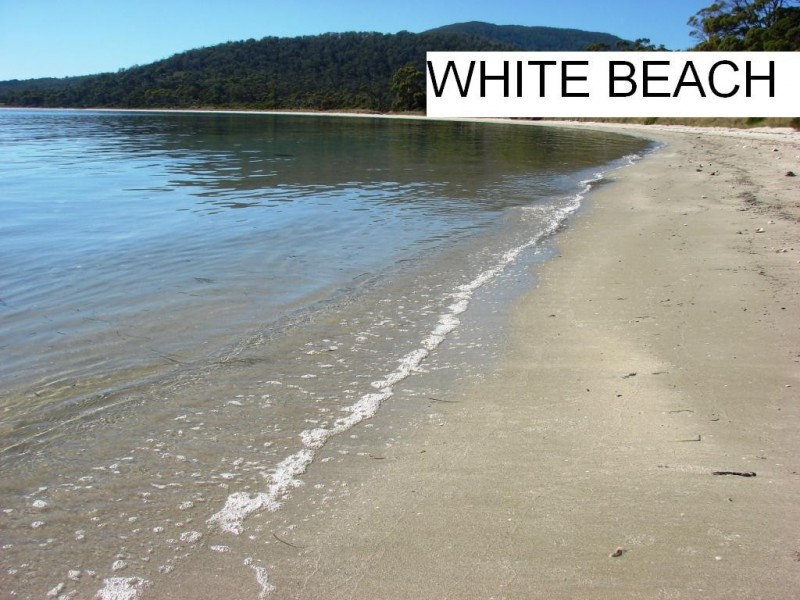 36 Beach Street, White Beach TAS 7184