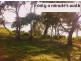 5 Jetty Road, Dodges Ferry TAS 7173