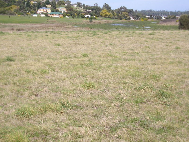 2 Blackwood Drive, Forcett TAS 7173