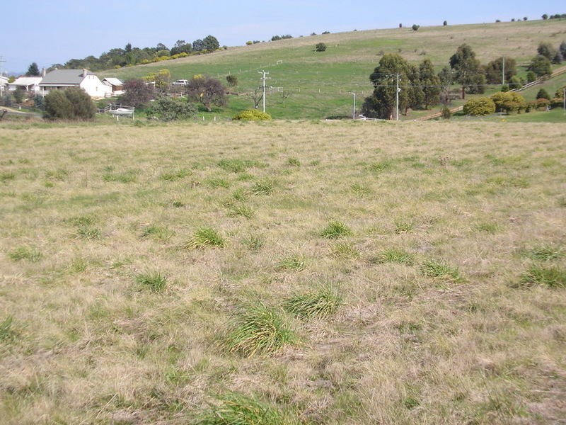 2 Blackwood Drive, Forcett TAS 7173