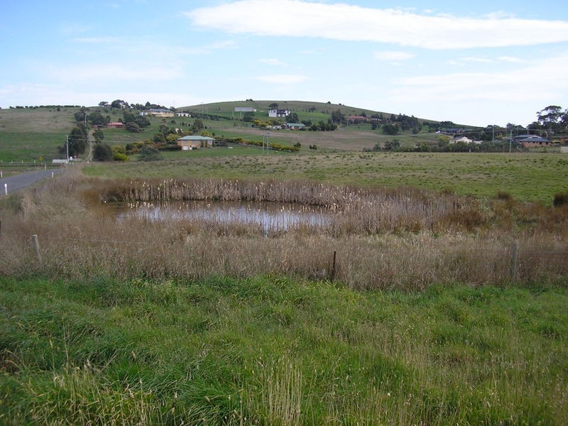 2 Blackwood Drive, Forcett TAS 7173