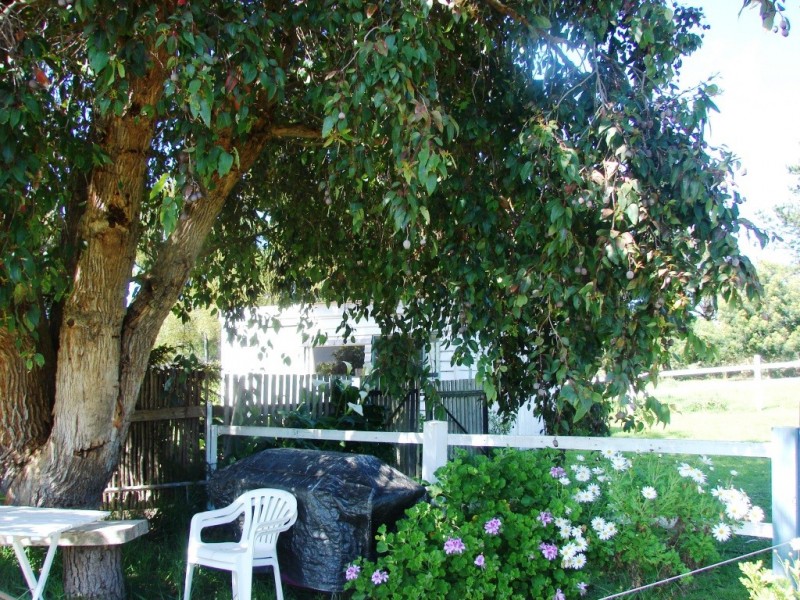 220 Safety Cove Road, Port Arthur TAS 7182