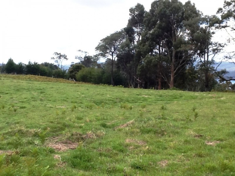 185 Lookout Road, Port Arthur TAS 7182