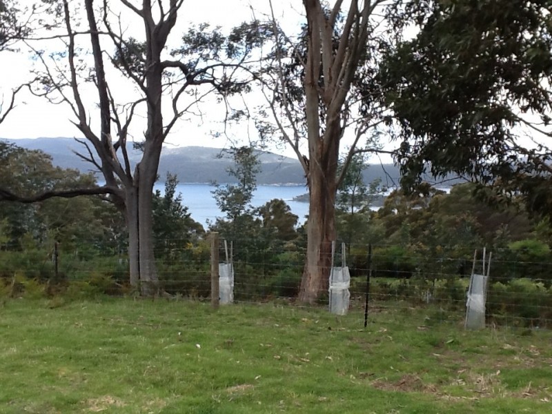 185 Lookout Road, Port Arthur TAS 7182