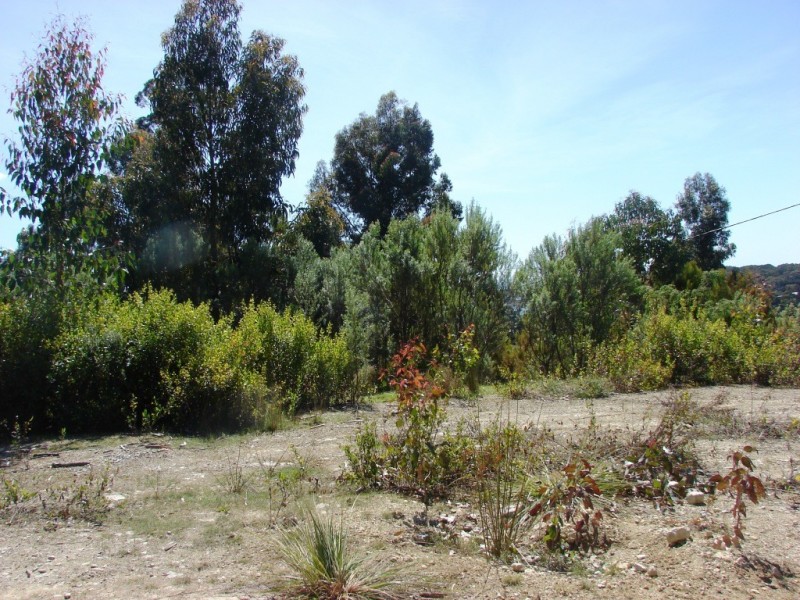 L3 Richardsons Drive, Eaglehawk Neck TAS 7179