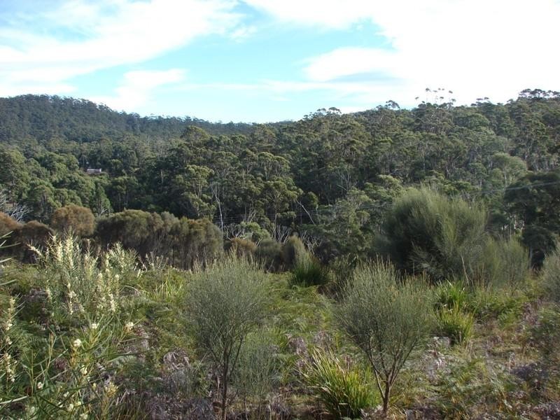 Lot 2 Roaring Beach Road, Nubeena TAS 7184