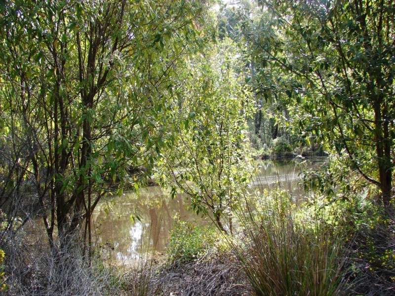 L1 Kelletts Road (Access from Dam RD), Sloping Main TAS 7186