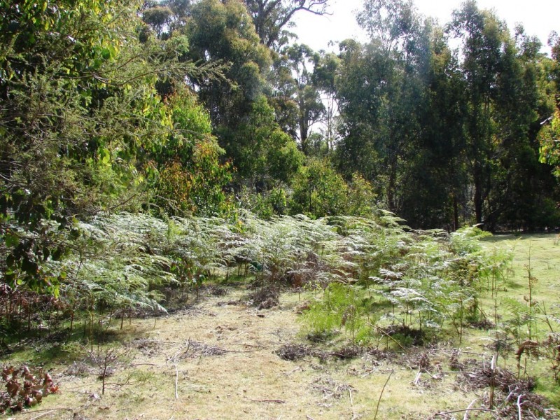 L1 Kelletts Road (Access from Dam RD), Sloping Main TAS 7186