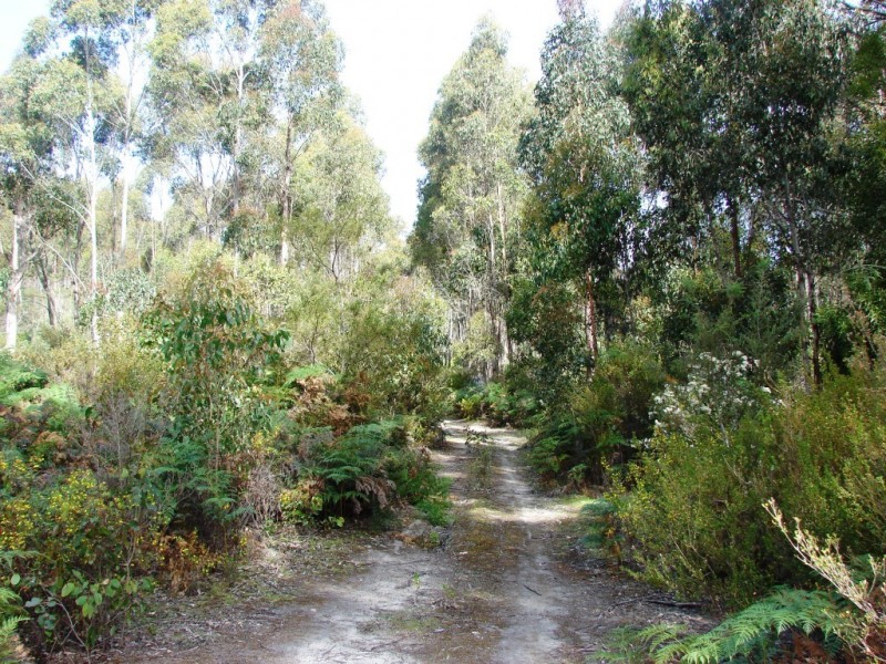 L1 Kelletts Road (Access from Dam RD), Sloping Main TAS 7186