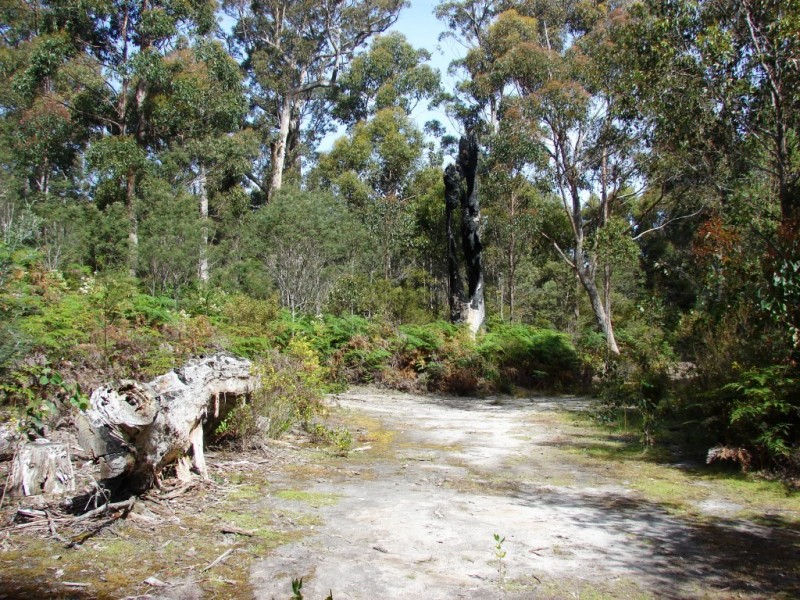 L1 Kelletts Road (Access from Dam RD), Sloping Main TAS 7186