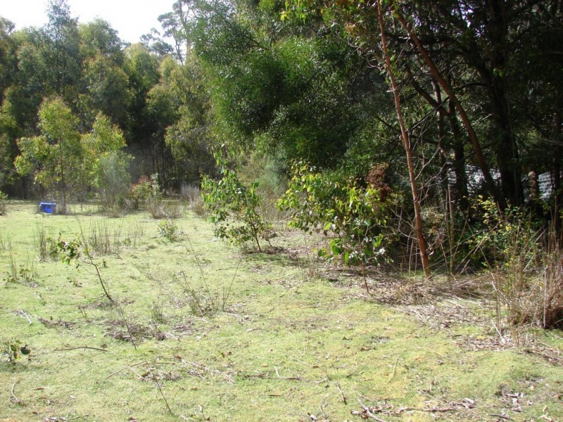 L1 Kelletts Road (Access from Dam RD), Sloping Main TAS 7186