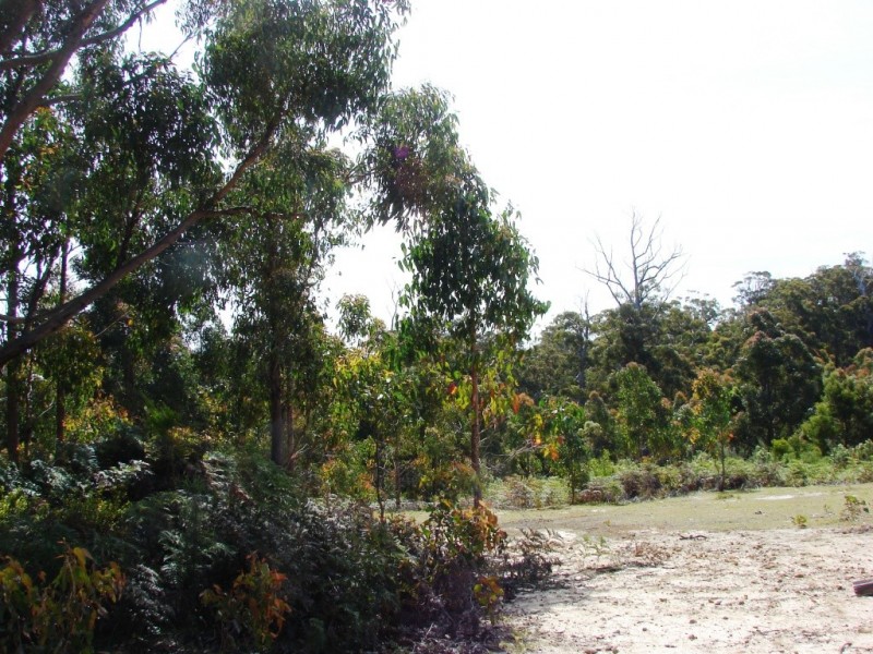 L1 Kelletts Road (Access from Dam RD), Sloping Main TAS 7186