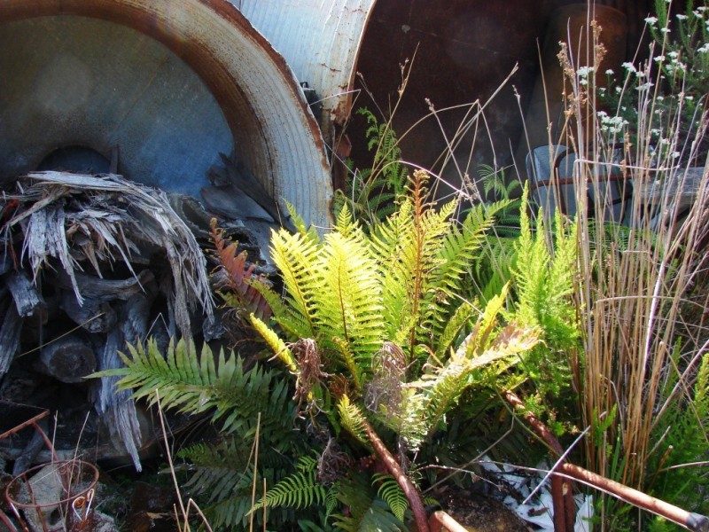 L1 Kelletts Road (Access from Dam RD), Sloping Main TAS 7186