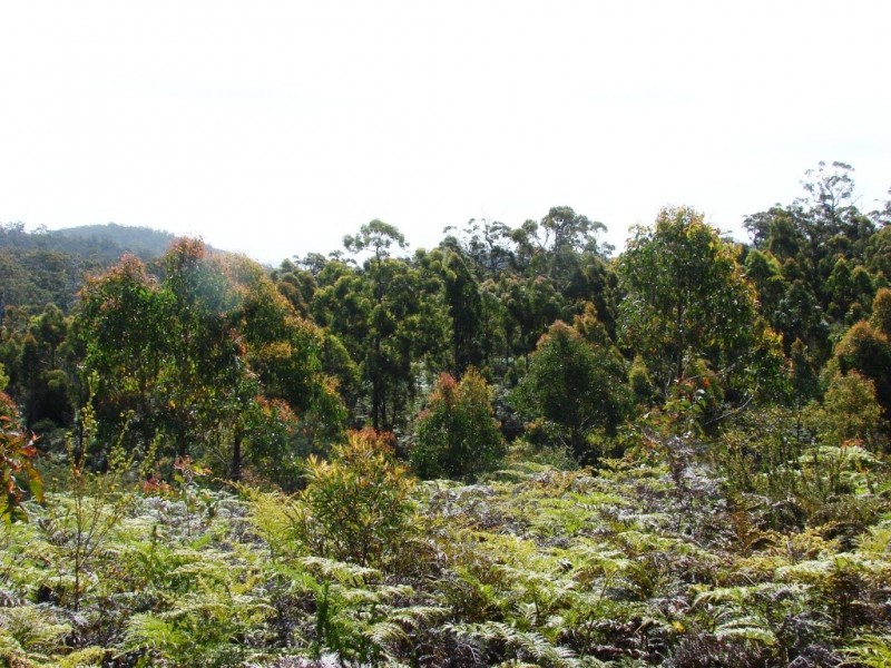 L1 Kelletts Road (Access from Dam RD), Sloping Main TAS 7186