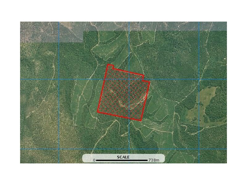 L1 Kelletts Road (Access from Dam RD), Sloping Main TAS 7186