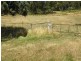 29 Gwen Road, Port Arthur TAS 7182