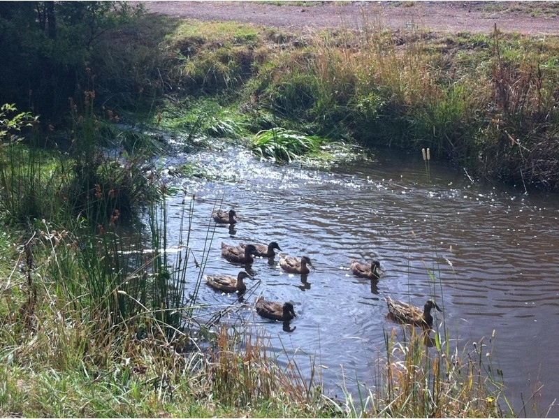 Lot 44 Whitelea Court, Sorell TAS 7172